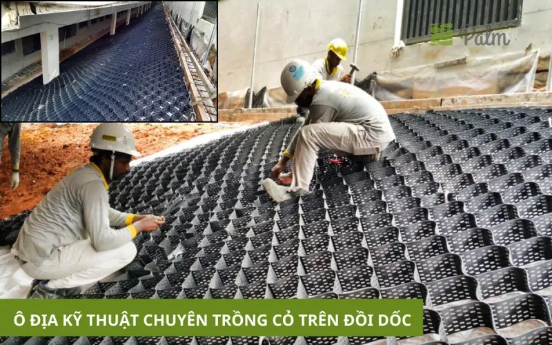 Vỉ Trồng Cỏ Chịu Lực | Tất Tần Tật Về Lợi Ích, Ứng D���ng Và Cách Lắp Đặt